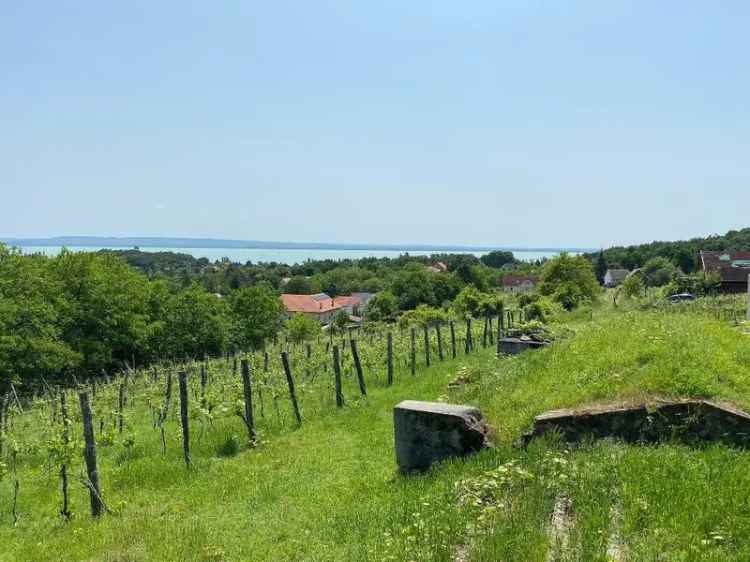 Eladó telek Ábrahámhegyen, szőlőművelésre alkalmas, panorámás helyen