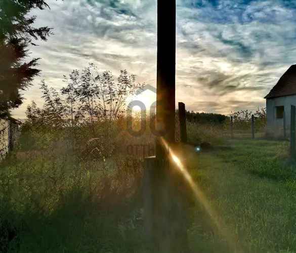 Egyeki Telek Eladó - Tisza-tó Közelében