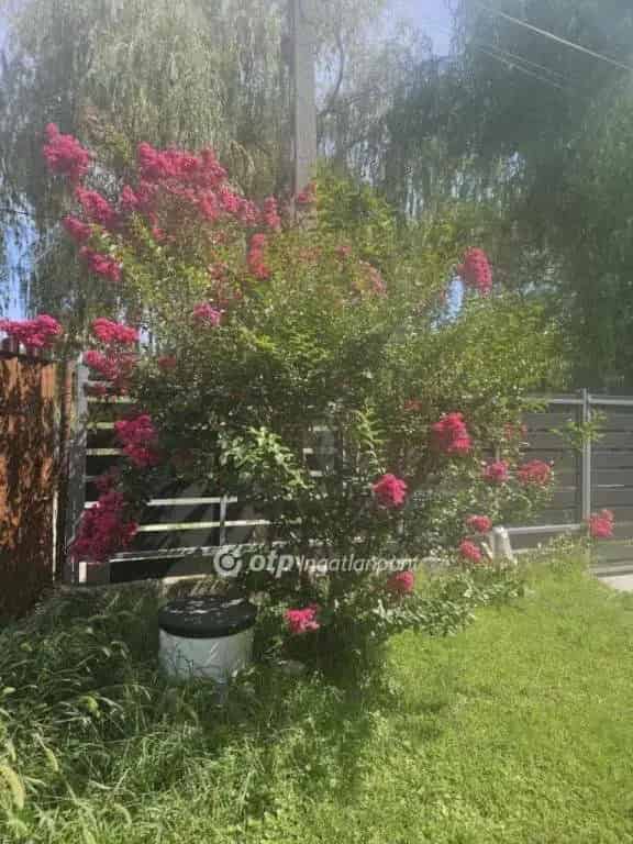 Dunaharaszti Paradicsom-szigeti faház eladó