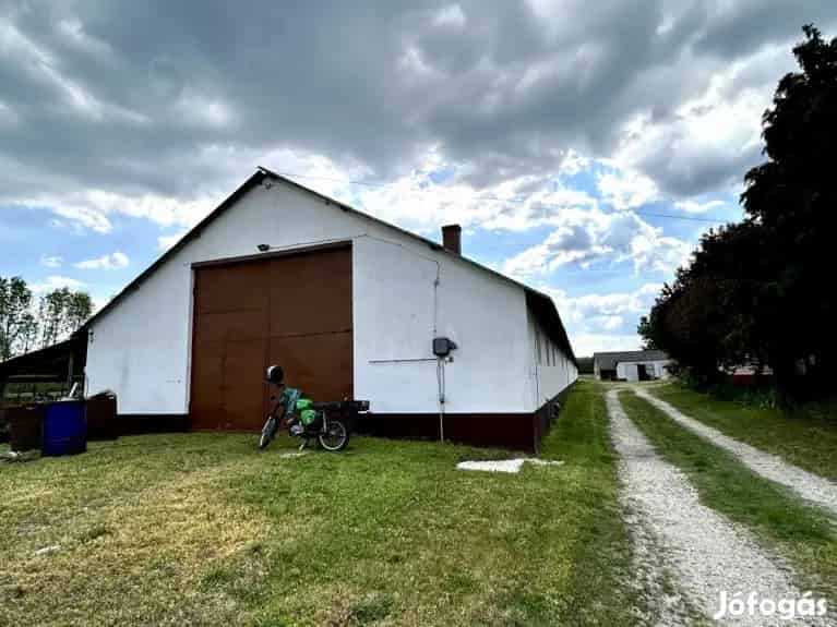 ELADO KIVETELES INGATLAN LAJOSMIZSE TANYAVILAGABAN