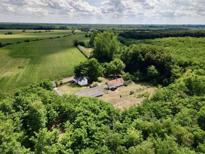 Debrecentől 7 5 km-re eladó tanya 21802 m2-es területtel