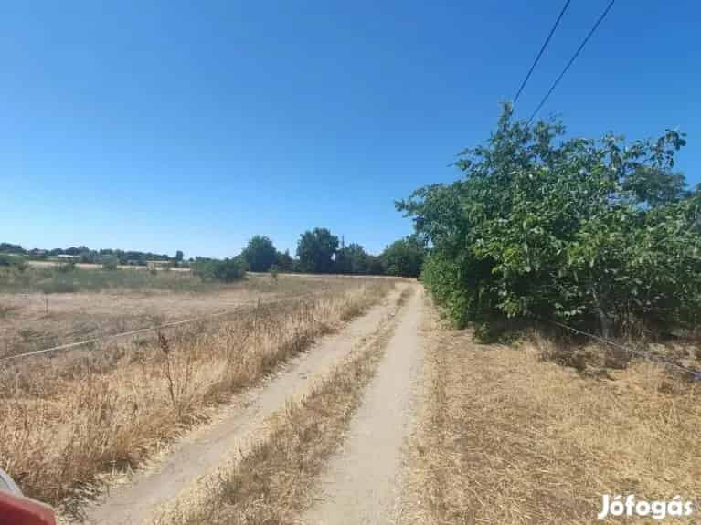 8192 m2-es építési telek eladó Csongrádon