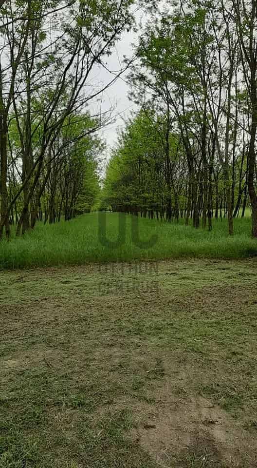 Nagykőrösi mezőgazdasági ingatlan eladó Szafari Park közelében