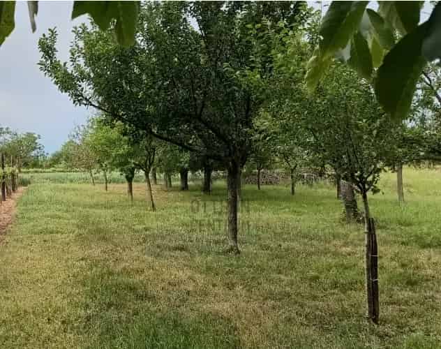 Lepsényi eladó telek Balaton közelében