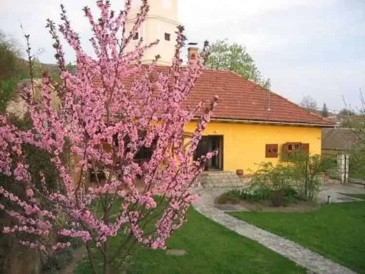 Tokaji ház eladó 90m2 1 hálószoba 3 fürdőszoba