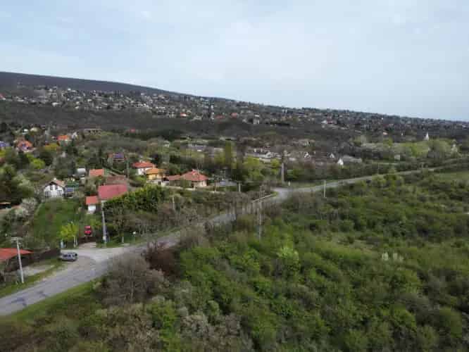 Szentendre Mezőgazdasági Ingatlan Eladó 3030 m2
