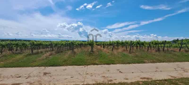 Tagyon - 7886 nm-es művelt szőlő eladó
