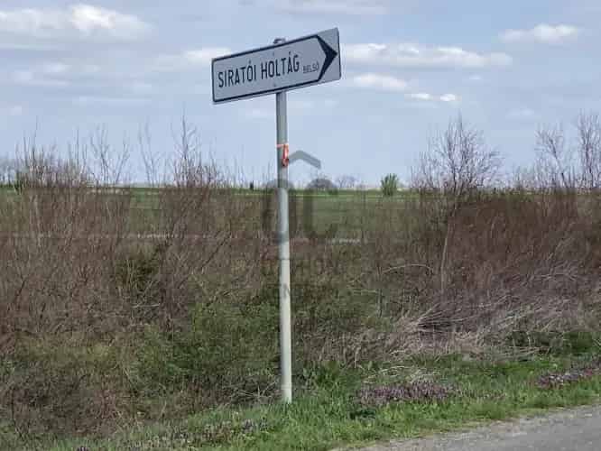 Gyomaendrődi eladó telek és erdő Holt-Kőrös mellett