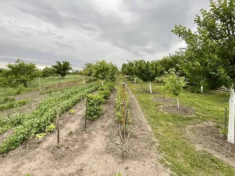 Balatonszabadi Nyaraló Életjáradékkal