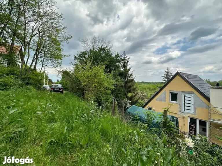 Leányfalu 838 nm-es Telek Eladó - Madárcsicsergős, Panorámás