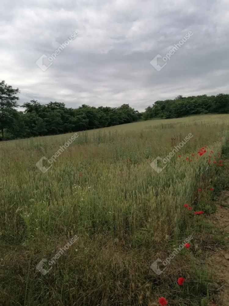 Eladó zárt kert Pázmándfalun panorámás kilátással