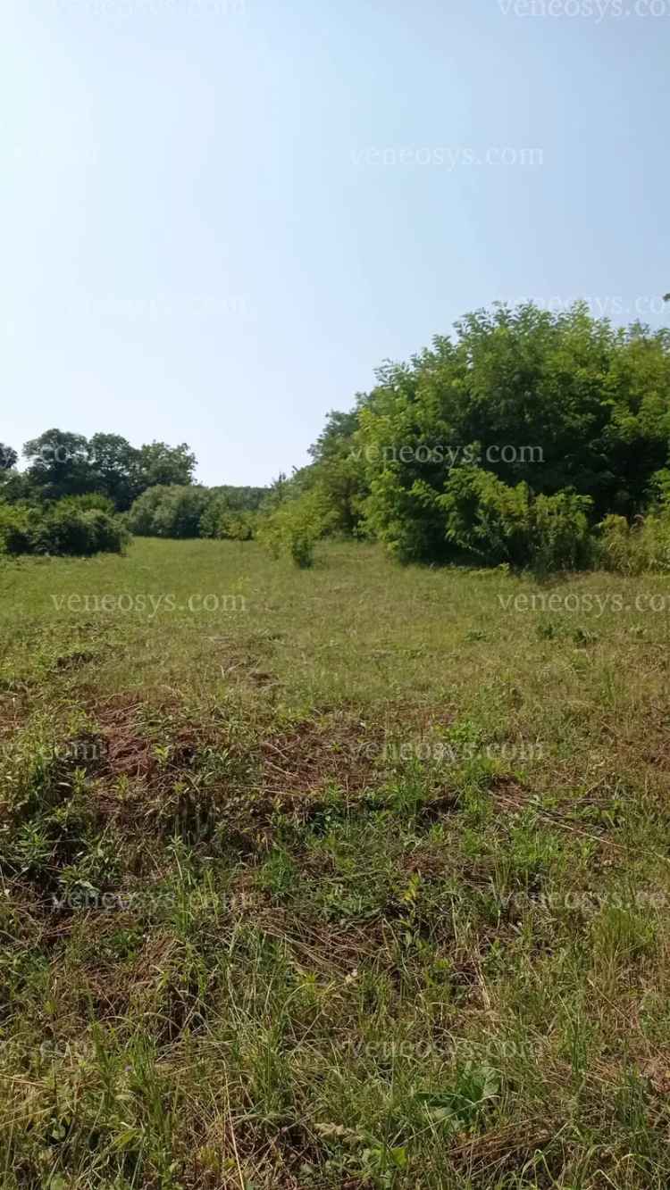 Zártkerti telek eladó Zalakaroson balatoni panorámával