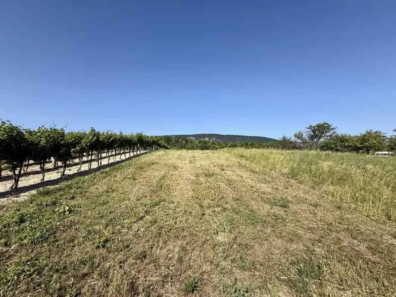 956 m2-es Zárkerti Telek Eladó Móron Kecskehegyen