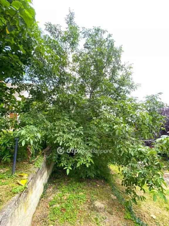 Fonyód Balatoni Panorámás Kétgenerációs Családi Ház Eladó