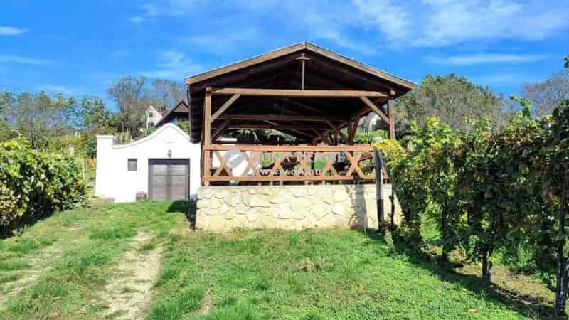 Szent György-hegyi panorámás birtok eladó présházzal és borospincével