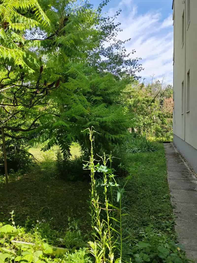 35m2-es 1 5 szobás klímás lakás erkéllyel Kuruclesen