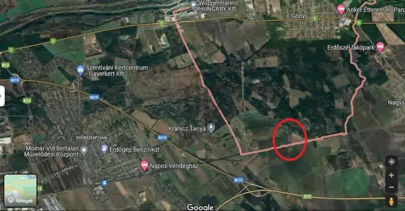 Gönyűi eladó akácos erdő 54 hektár