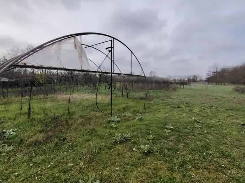 Tanya Elado Opusztaszer Kozelben 2x60m2 Haz 21979m2 Telekkel