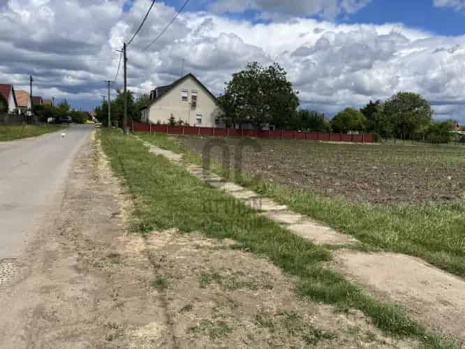 Hosszupalyi Eladó Telek 3216 m2