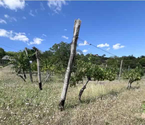 Szekszárdi eladó telek, T040537