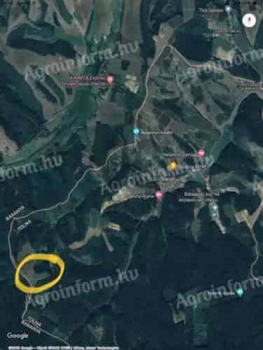 7 1 hektár mezőgazdasági terület eladó Szekszárd mellett