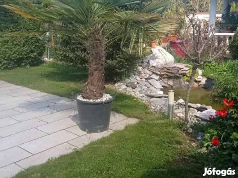 Zalakaros Wellness Ház 820 nm-es Telekkel