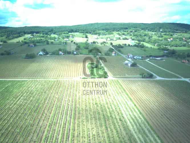 Tagyon eladó szőlő 12297 nm - 41,09 AK és 22,98 AK