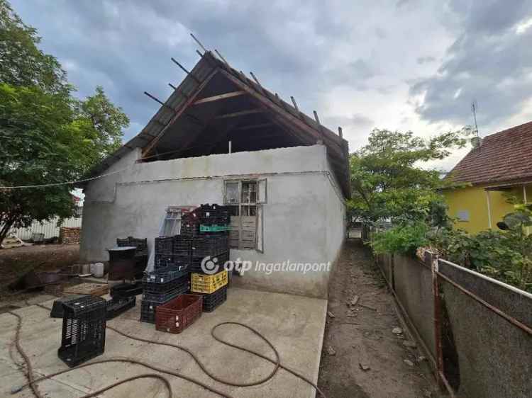 Nádudvaron 74m2-es családi ház 2250m2-es telken eladó