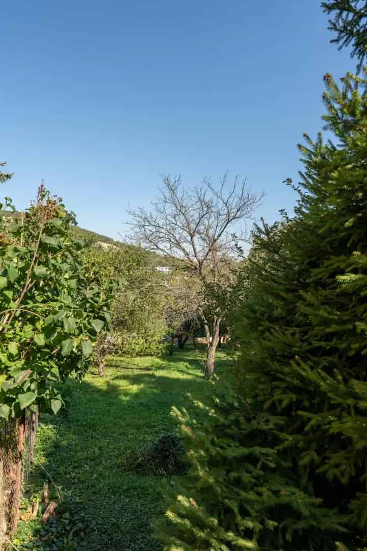 Szemlő-hegy 1231nm-es Telek Eladó Családi Ház Építésére