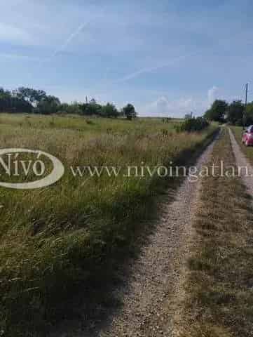 Balatonkenesei 4883 m2-es Mezőgazdasági Ingatlan Eladó