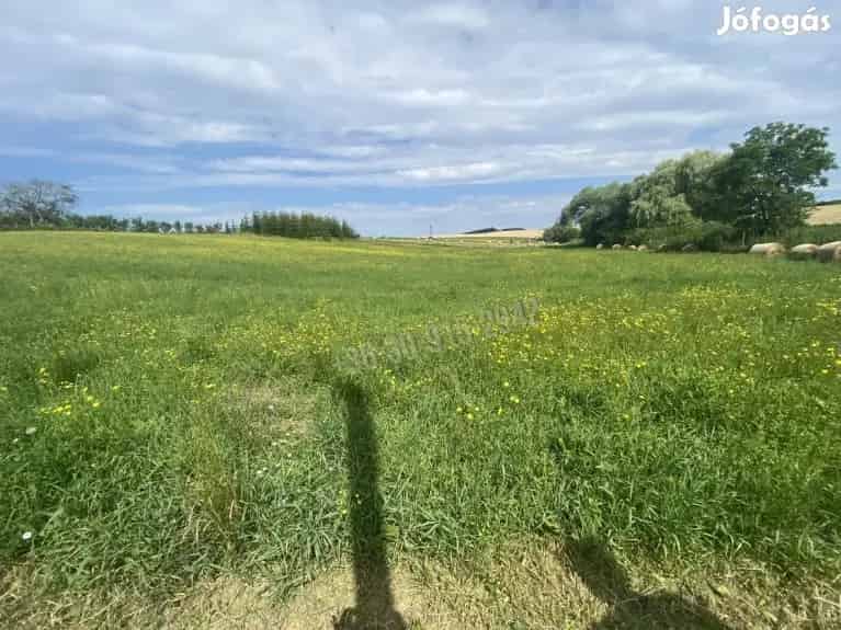 Nézsa Telek Eladó 10511 nm