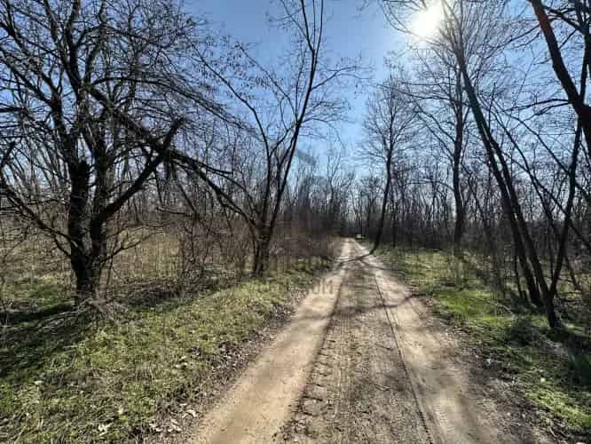 Domonyi eladó telek 720 nm Üdülőövezet