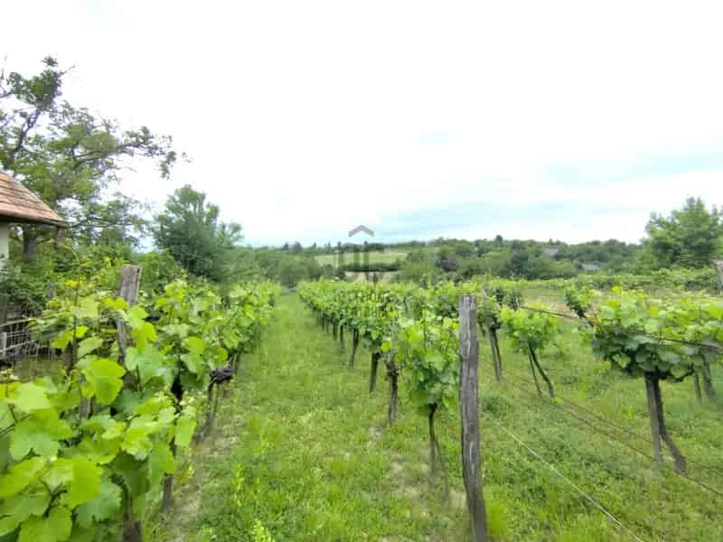 Balatonkenesei Telek Eladó - Részleges Tóparti Panoráma