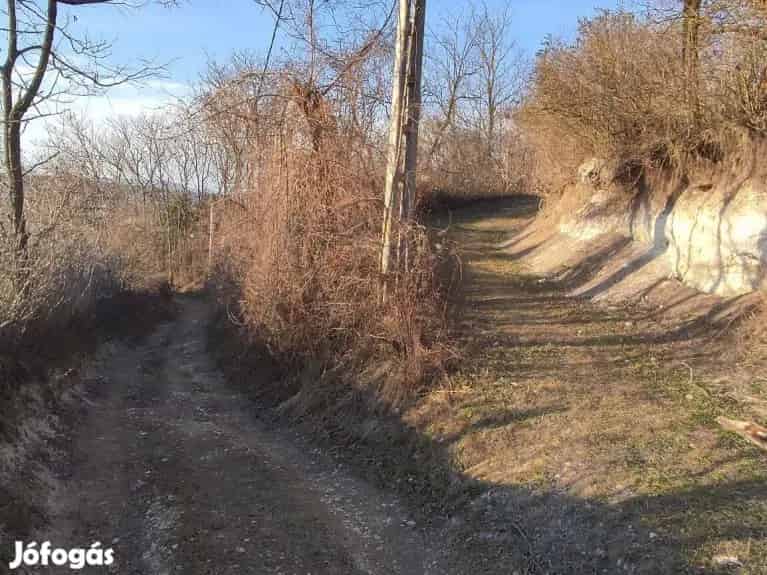 Gyermelyi zártkert eladó 1577 m2-es telekkel ház betonozott medencével