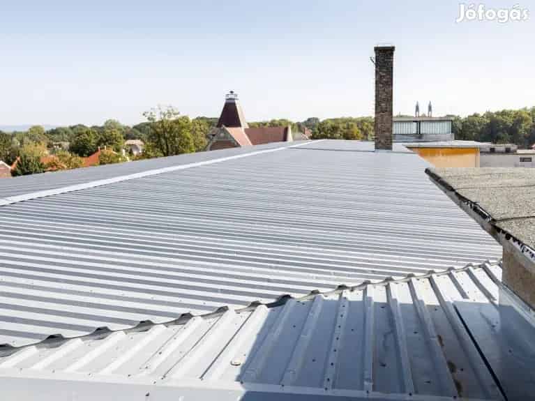 Pápa Esterházy út 21200 nm Fejlesztési Terület Eladó