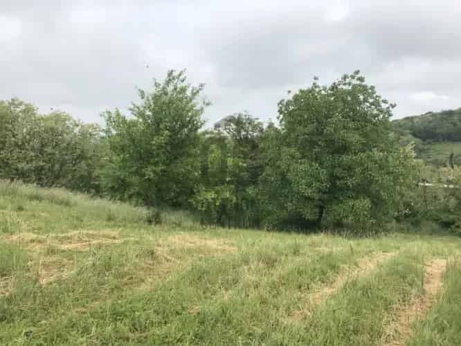 Zalaegerszeg Szenterzsébethegy Panorámás Építési Telek
