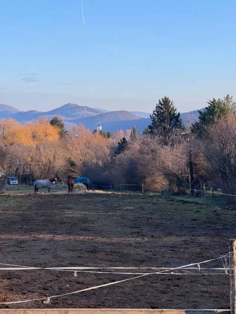 Solymár 1200m2-es sík telek eladó panorámával
