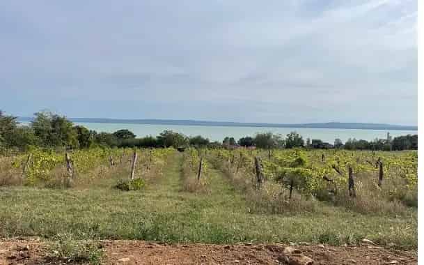 Balatonszepezd Panorámás Telek Eladó Beépíthetőséggel