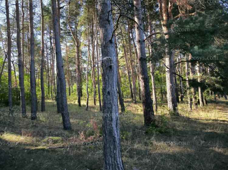 14 hektár erdő eladó