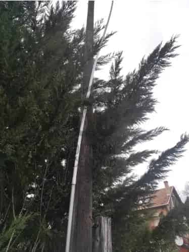 Domonyi eladó telek 814 nm Üdülőövezet