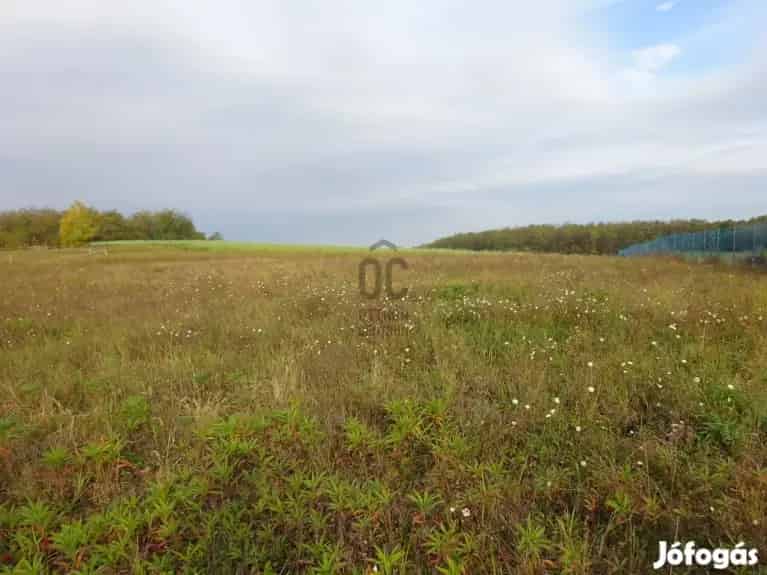 Tatabánya ipari telek eladó 8092 m2