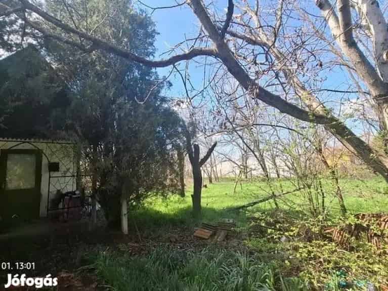 Gyulai Zártkerti Telek Eladó 4318 m2 Befektetésre Ideális
