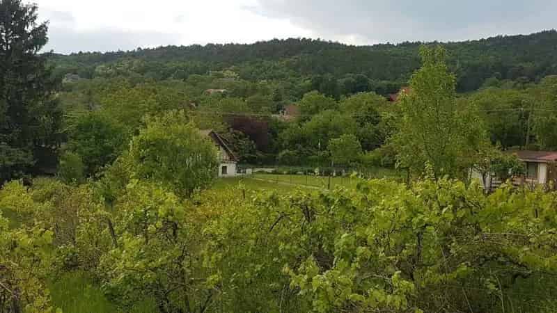 Balatongyörök Pinceszőlő 1999m2 telekkel