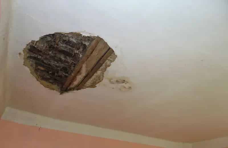 Felujitando csaldi haz 85m2 1620m2 telekkel Nagykonyiban