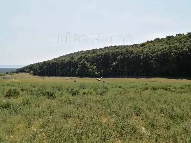 Telek Kiadó , Balatonfüredi járás, Dunántúl