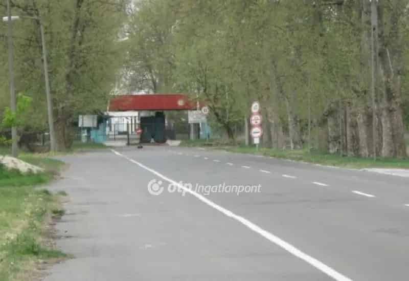 M5-ös autópálya melletti termőföld eladó befektetőknek