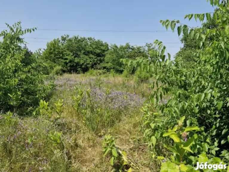 Mogyoród Pacsirta utca 1439 m2-es telek eladó