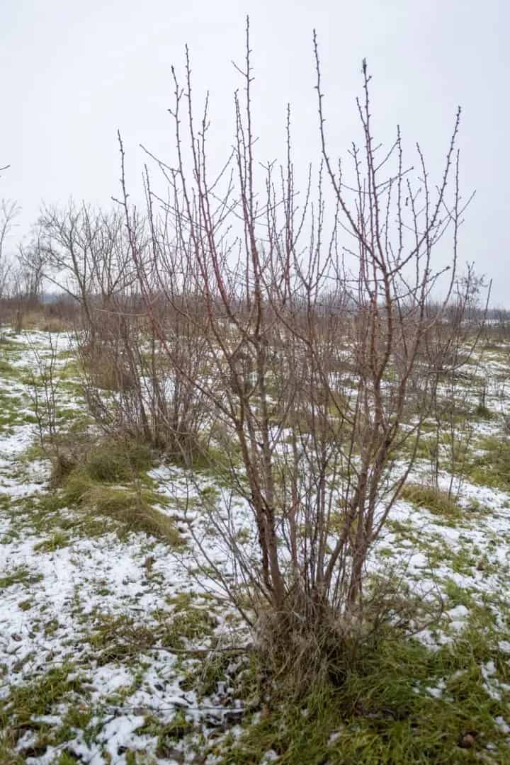 Telek Kiadó , Székesfehérvári járás, Dunántúl