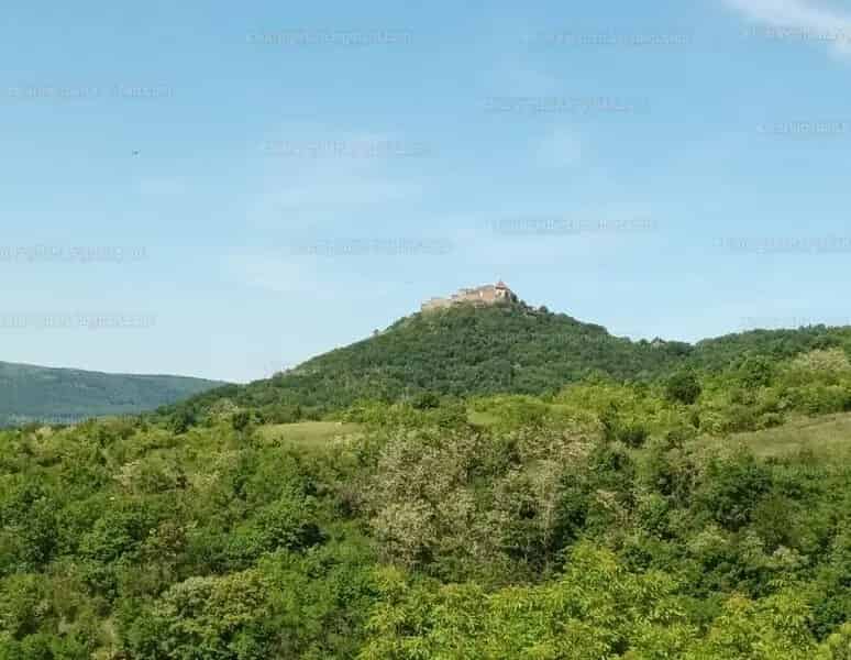 Visegrád Erdő Panoráma Telek Eladó
