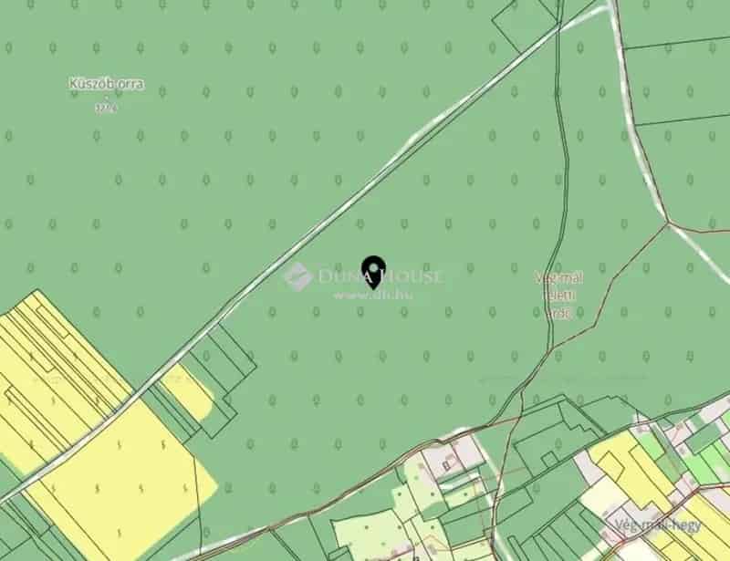 15002 m2 Erdőterület Eladó Kővágóőrsön Küszöb Orra Közelében